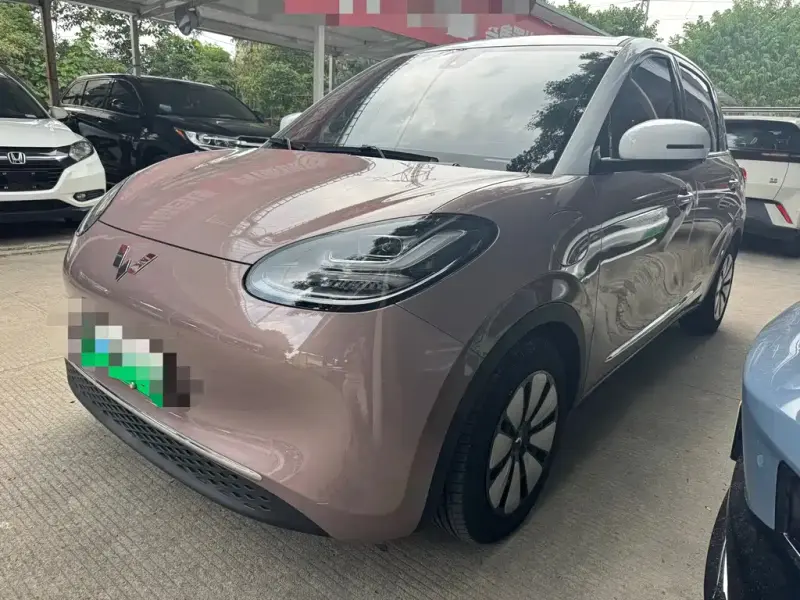 Wuling Bingo, 2023