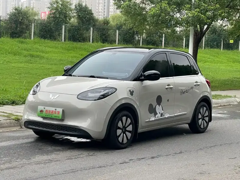Wuling Bingo, 2024