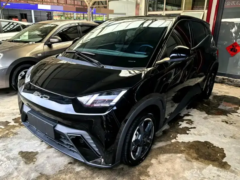 BYD Seagull, 2024
