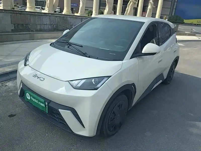 BYD Seagull, 2024
