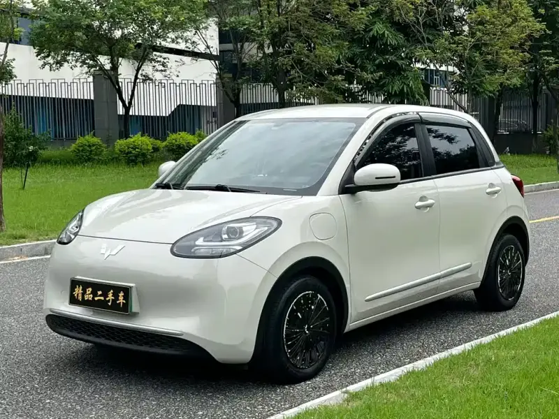 Wuling Bingo, 2024