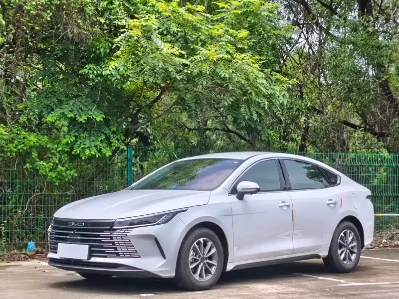 BYD Destroyer 05, 2024