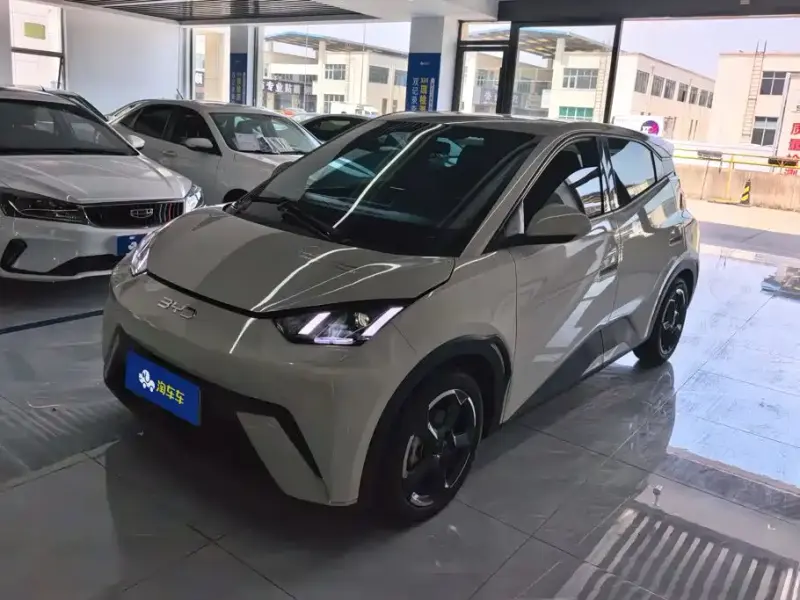 BYD Seagull, 2024
