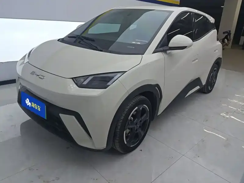 BYD Seagull, 2024