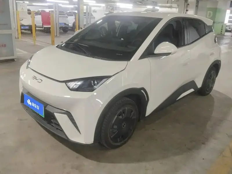 BYD Seagull, 2024
