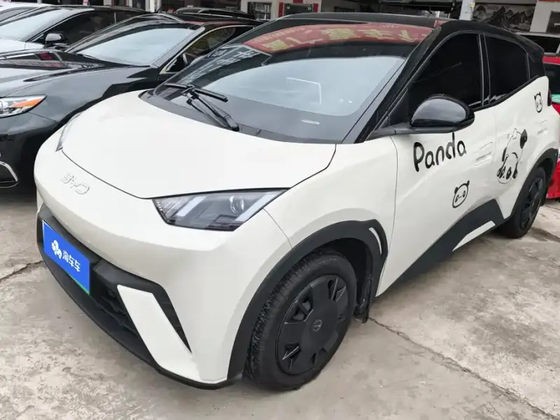 BYD Seagull, 2024