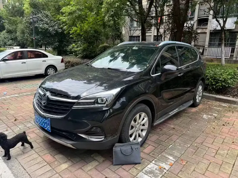 Buick Envision Plus, 2020