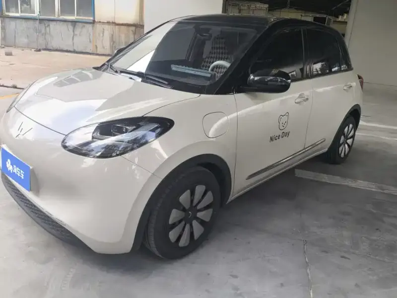 Wuling Bingo, 2024