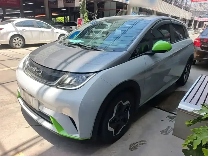 BYD Dolphin, 2022