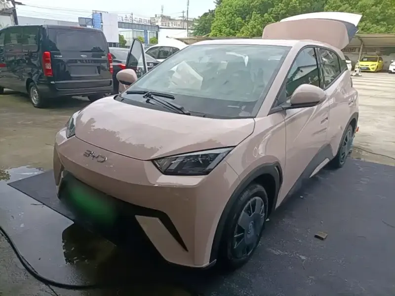 BYD Seagull, 2024