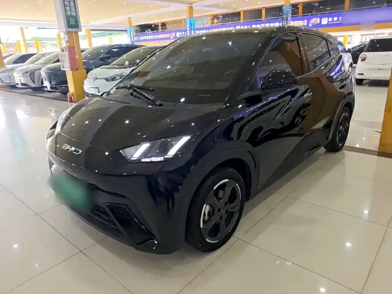 BYD Seagull, 2023