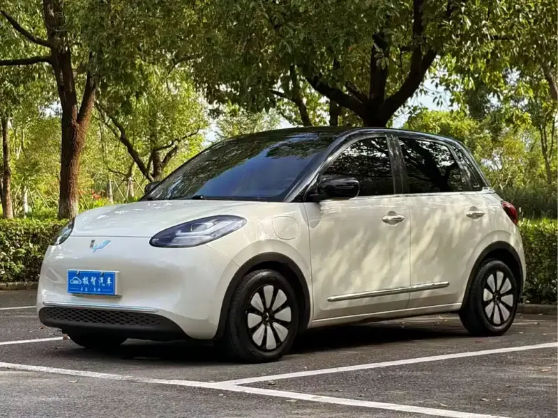 Wuling Bingo, 2024