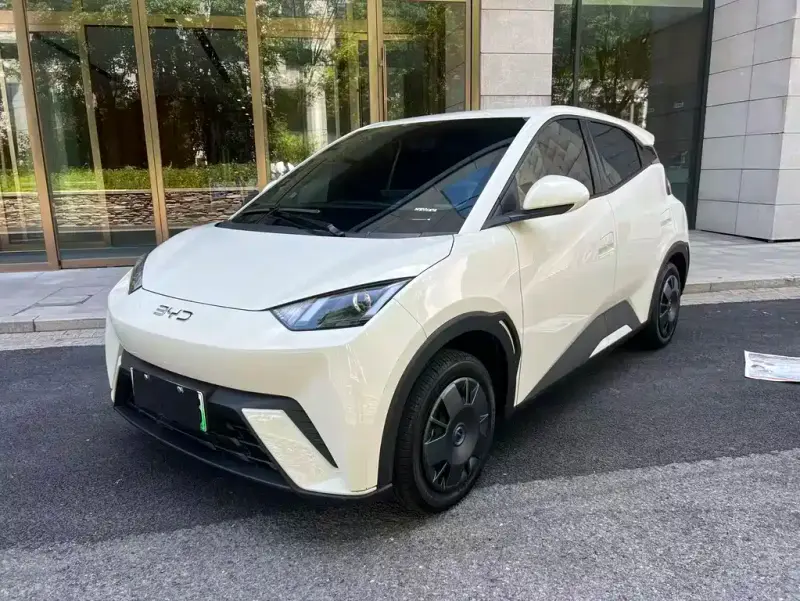BYD Seagull, 2024