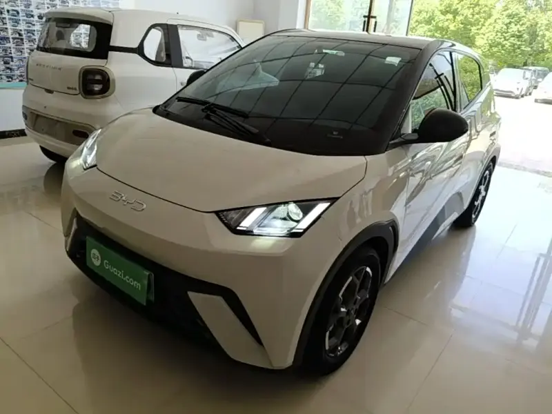 BYD Seagull, 2024