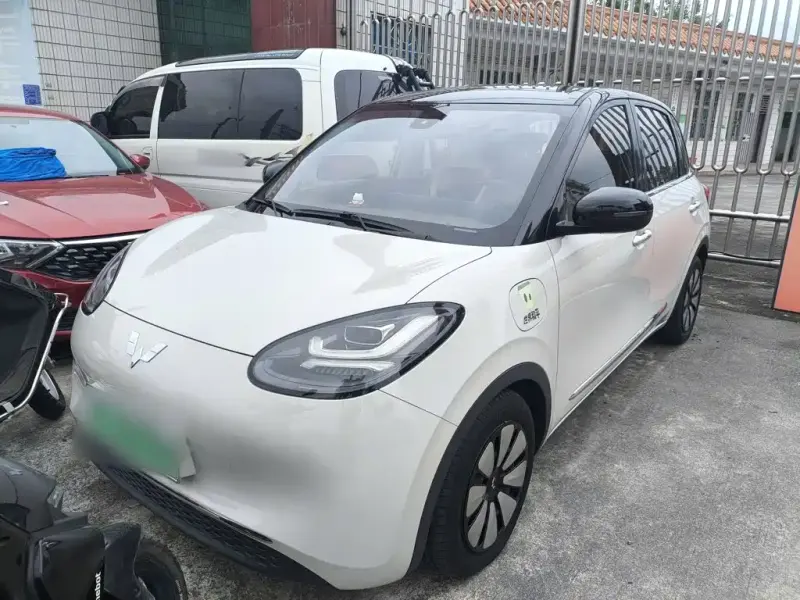 Wuling Bingo, 2023