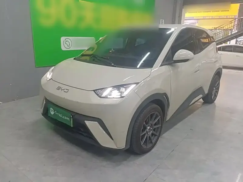 BYD Seagull, 2024