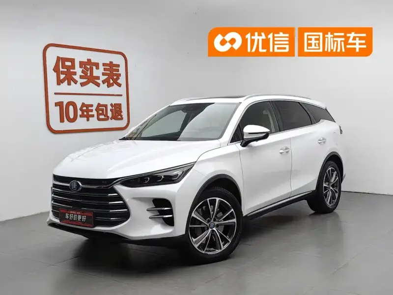 BYD Tang New Energy, 2019