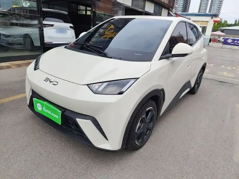 BYD Seagull, 2024