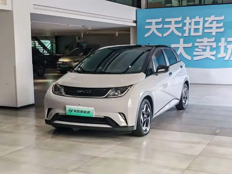 BYD Dolphin, 2022