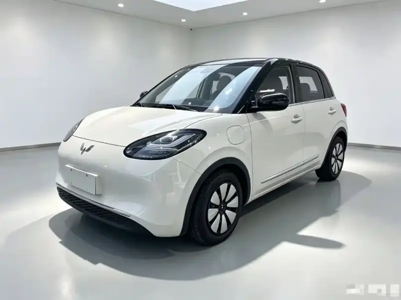 Wuling Bingo, 2025