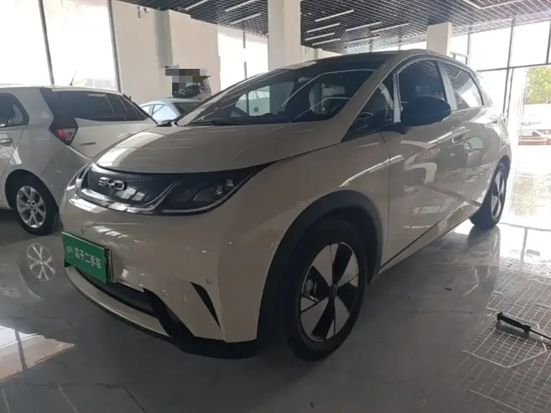 BYD Dolphin, 2023