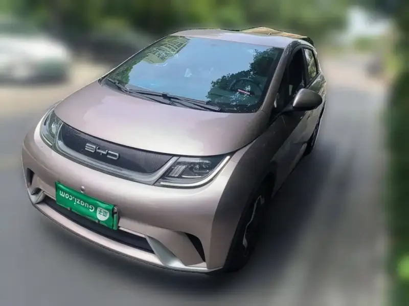 BYD Dolphin, 2022