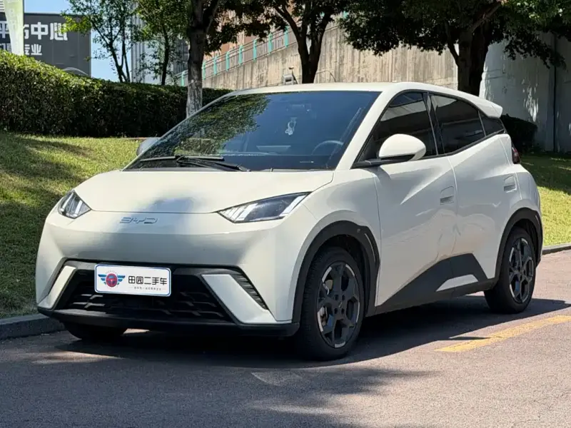 BYD Seagull, 2025