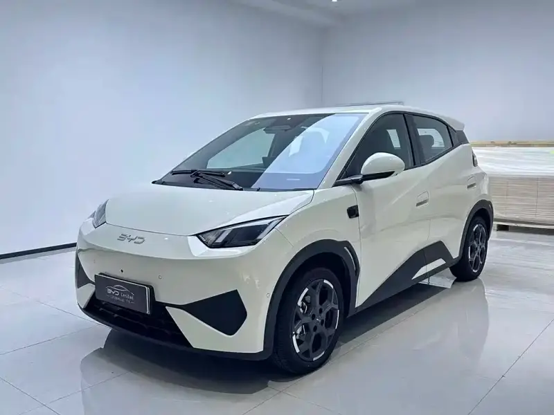 BYD Seagull, 2025