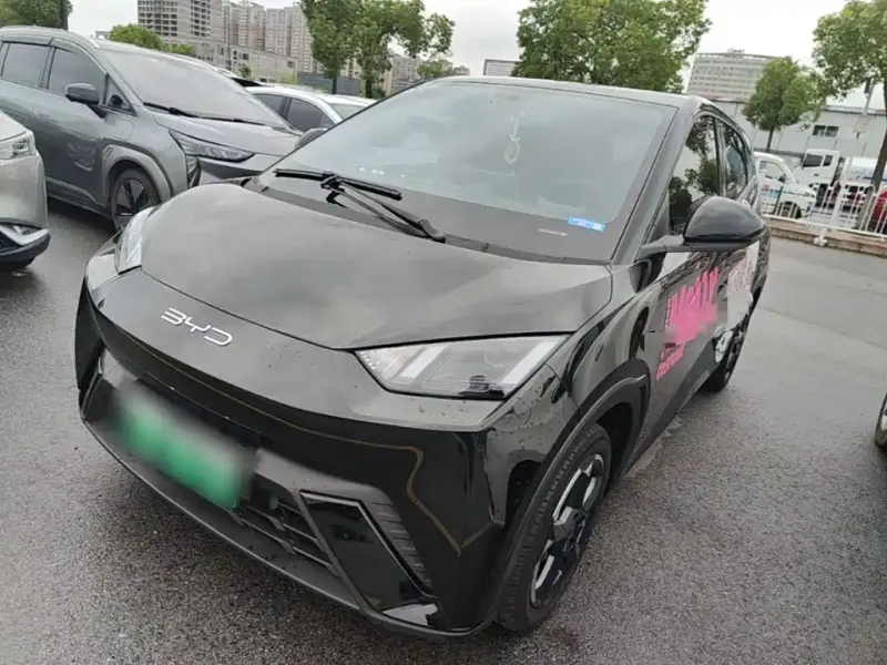 BYD Seagull, 2024