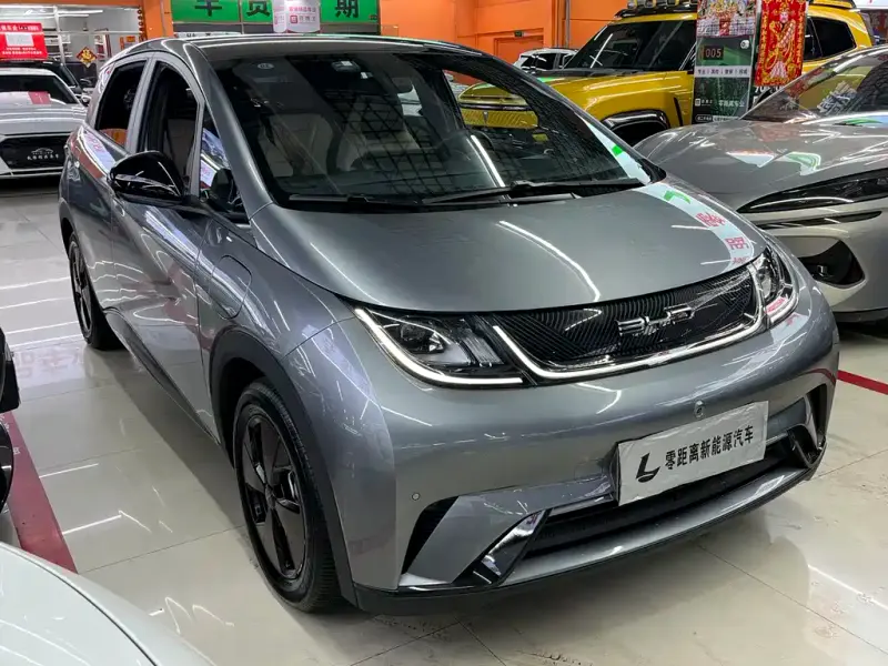 BYD Dolphin, 2023