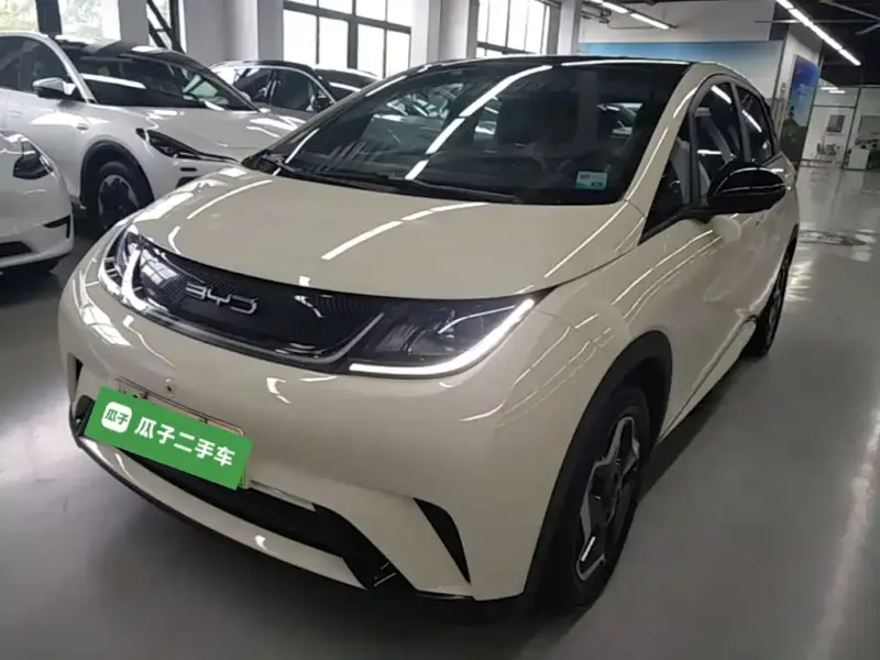 BYD Dolphin, 2022