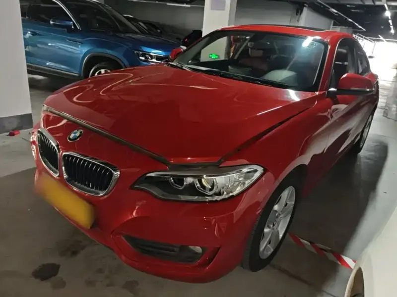 BMW 2 Series (Import), 2016