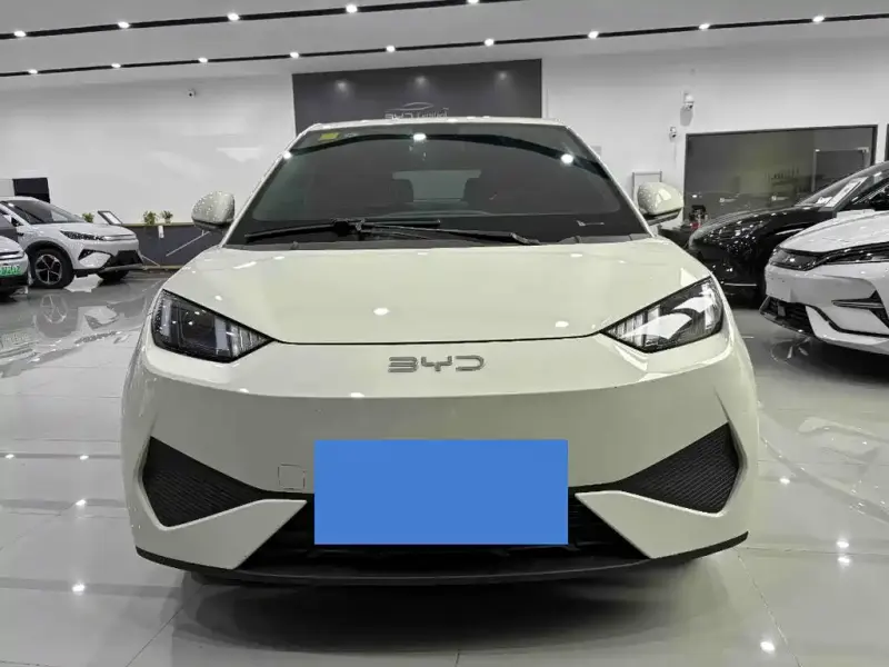 BYD Seagull, 2025