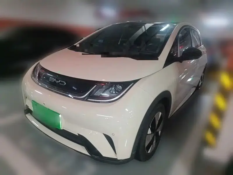BYD Dolphin, 2024