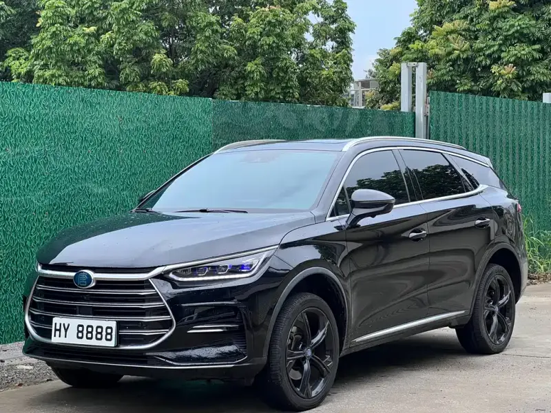 BYD Tang New Energy, 2021