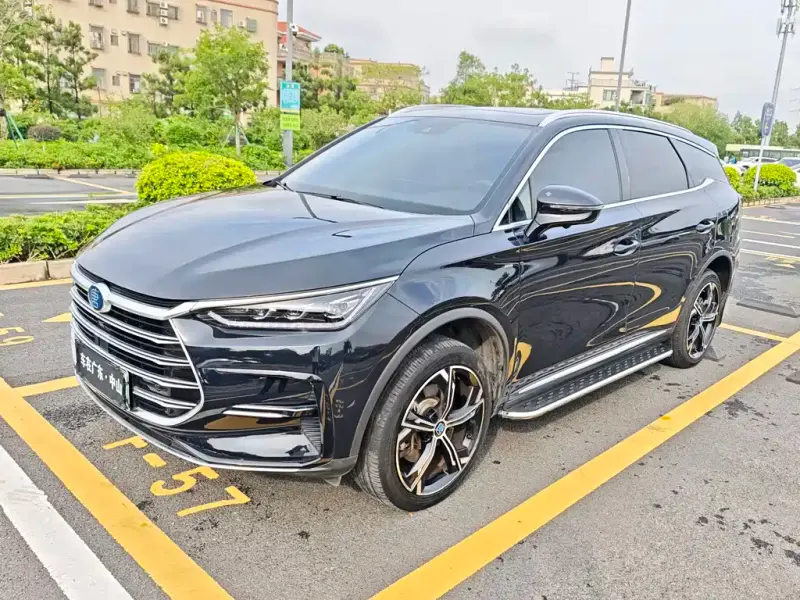 BYD Tang New Energy, 2021