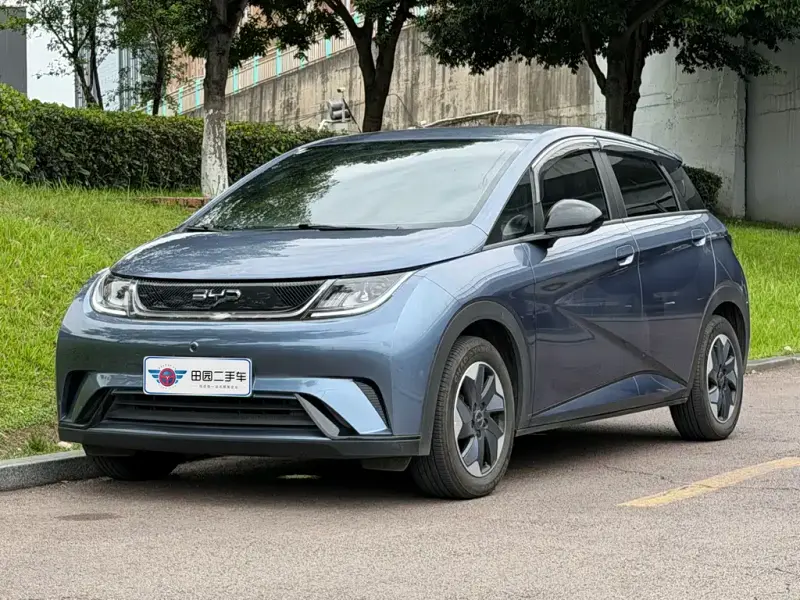 BYD Dolphin, 2024