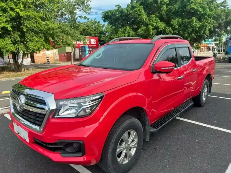 Dongfeng Rich 6, 2022