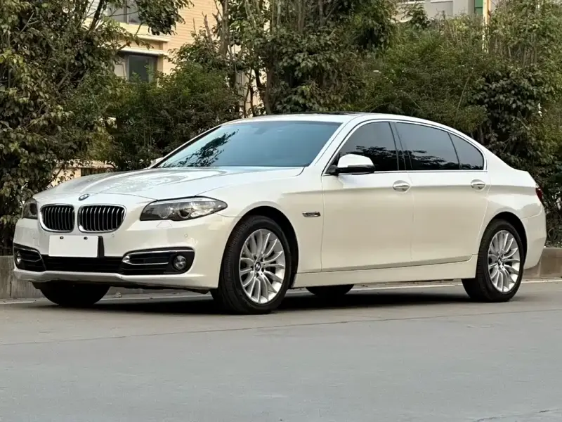 BMW 5 Series, 2014