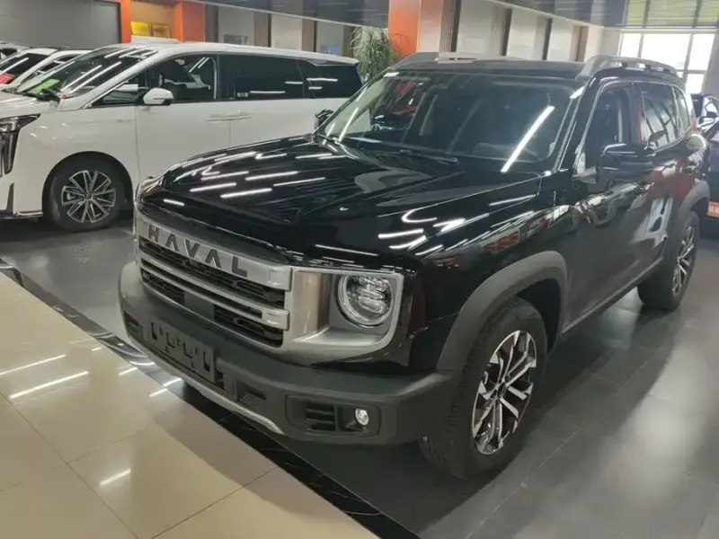 Haval Big Dog, 2024