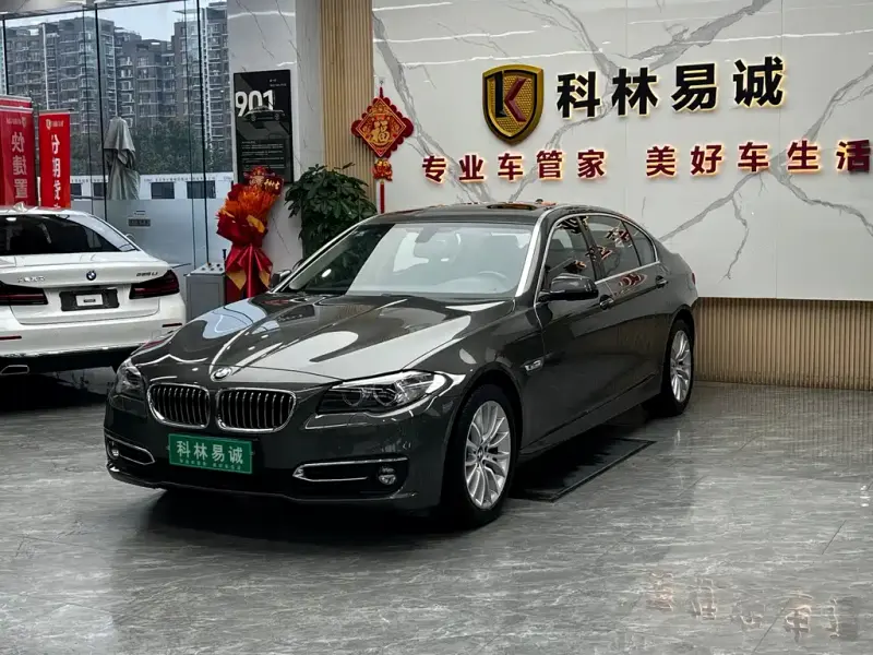 BMW 5 Series, 2013