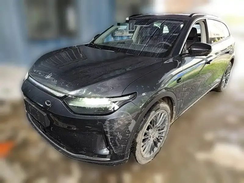 Leapmotor C11, 2024