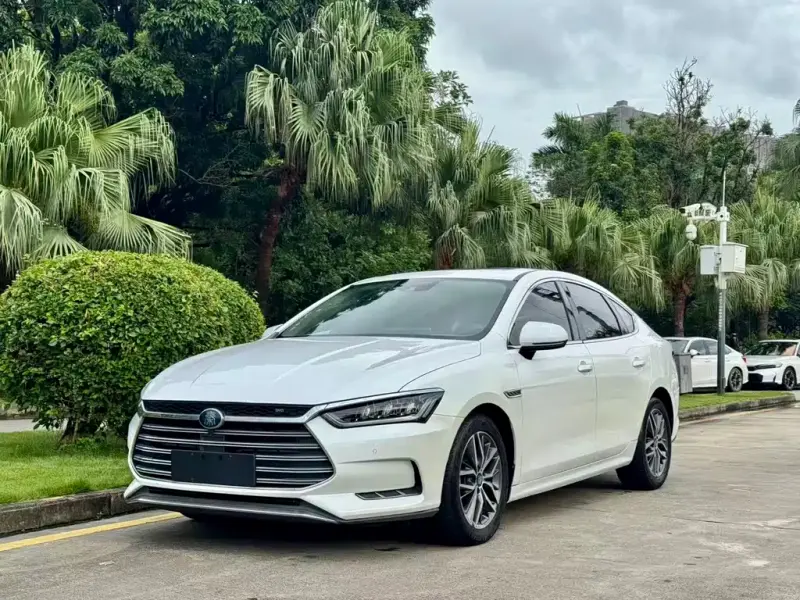 BYD Qin Pro NEV, 2019