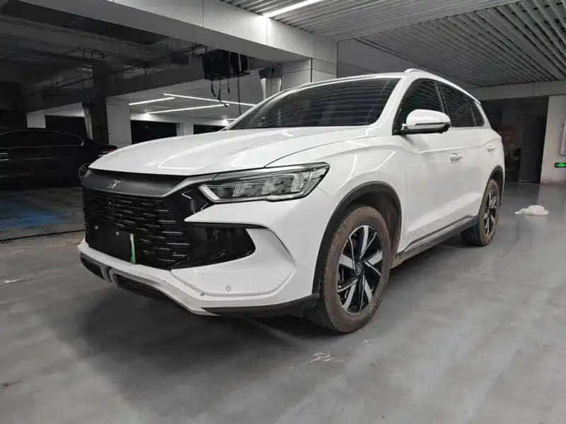 BYD Pro New Energy, 2024