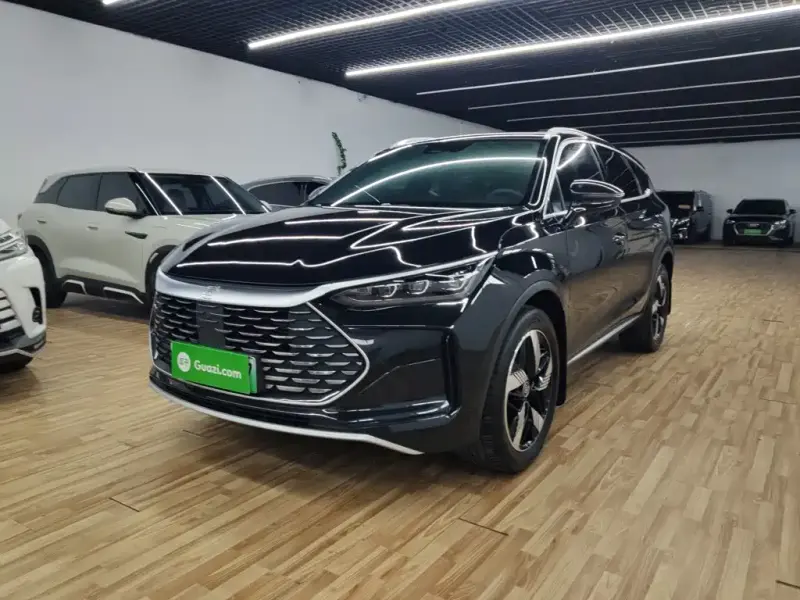 BYD Tang New Energy, 2024