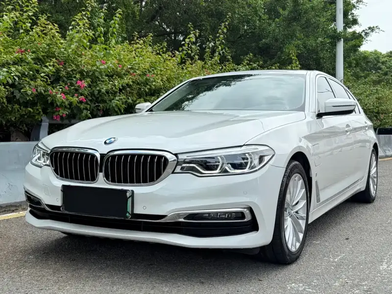 BMW 5 Series New Energy, 2019