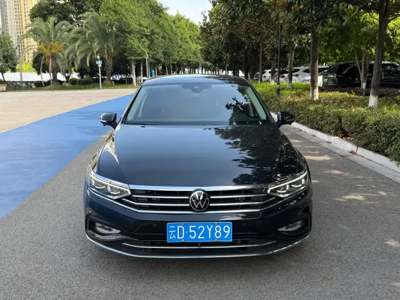 Volkswagen Magotan, 2021