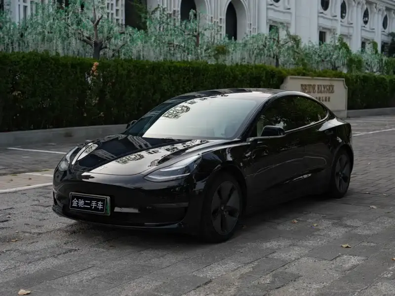 Tesla Model 3, 2019