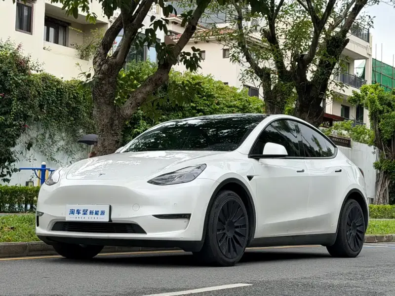 Tesla Model Y, 2021