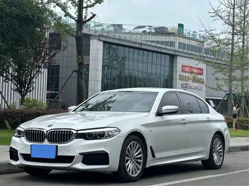 BMW 5 Series, 2019